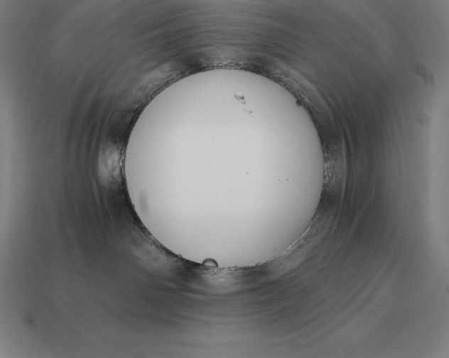 X0000113170142200909181839