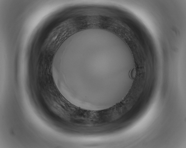 X0000113170143200909181839