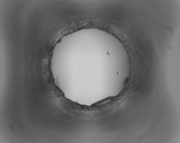 X0000113170144200909181839