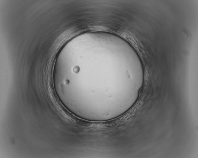 X0000113170145200909181839