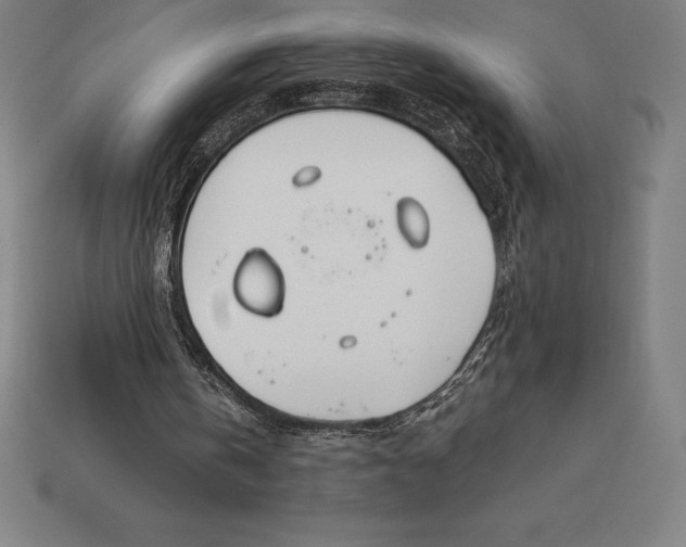 X0000113170146200909181839