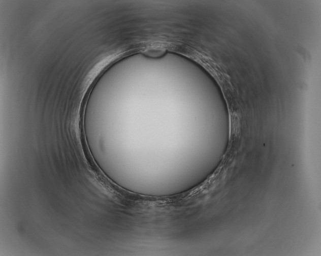 X0000113170147200909181839