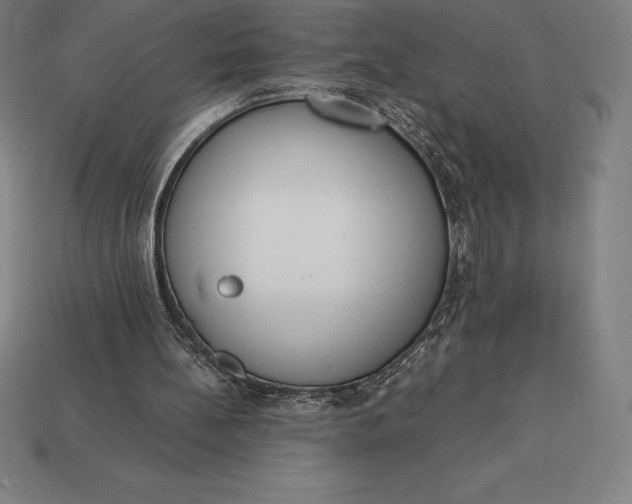 X0000113170148200909181839