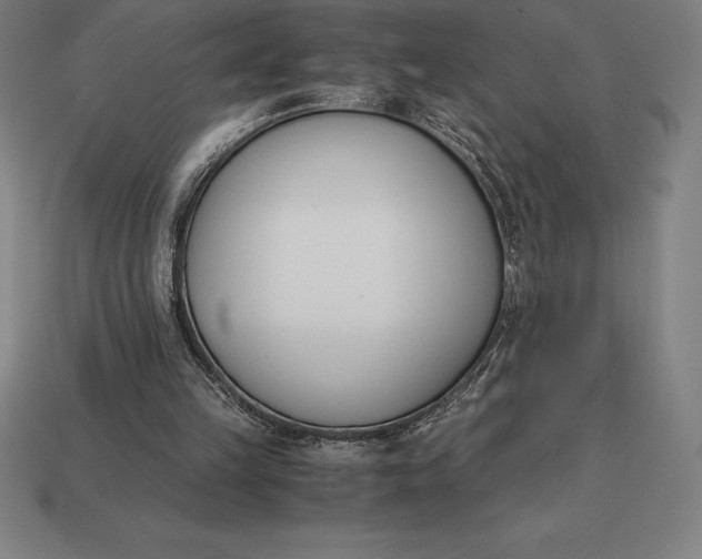 X0000113170149200909181839