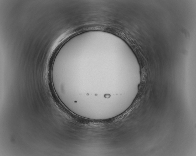 X0000113170150200909181839