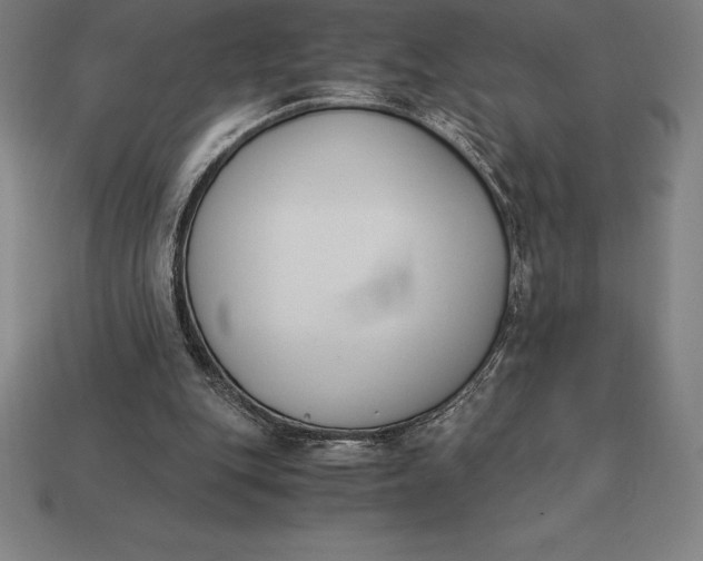 X0000113170151200909181839