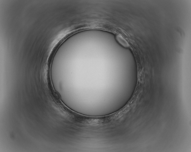 X0000113170152200909181839