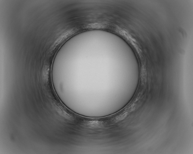 X0000113170153200909181839