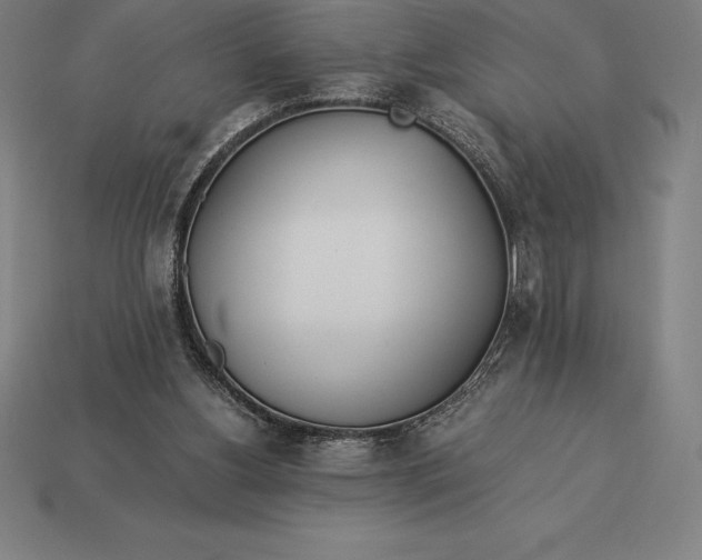 X0000113170156200909181839