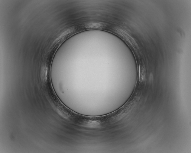 X0000113170157200909181839