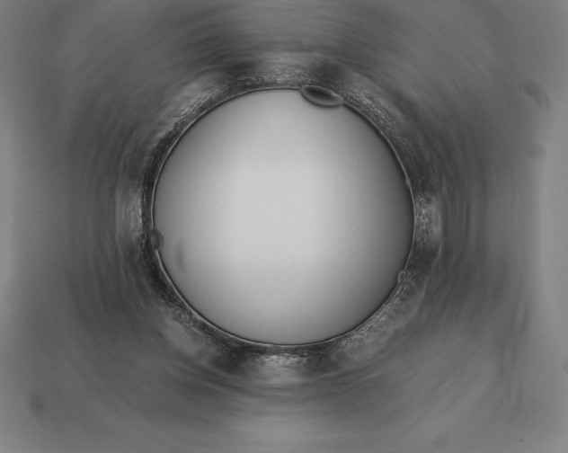 X0000113170158200909181839