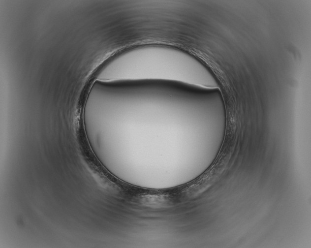 X0000113170160200909181839