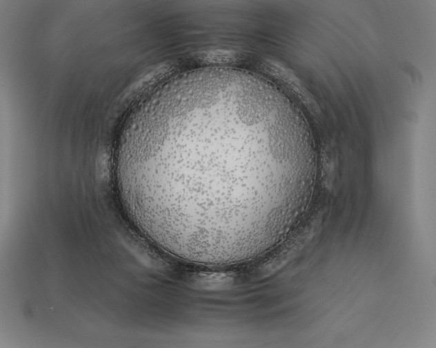 X0000113170161200909181839