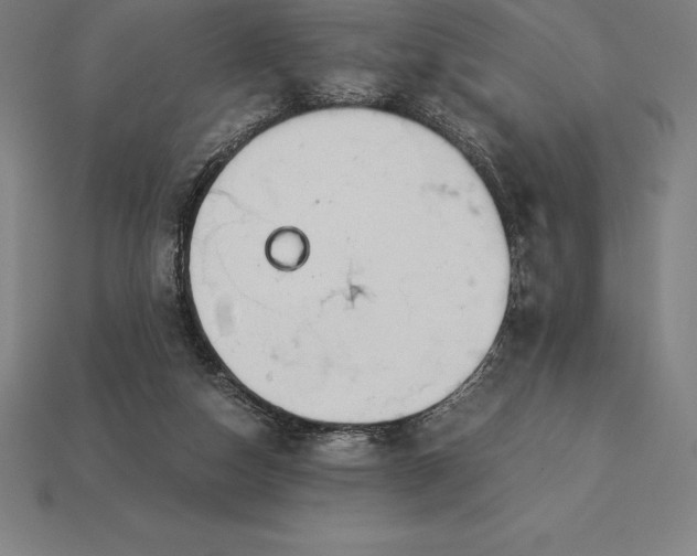 X0000113170162200909181839