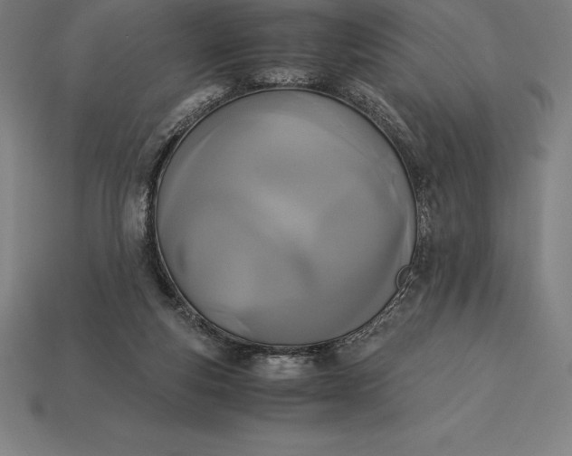 X0000113170163200909181839