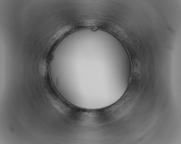 X0000113170164200909181839