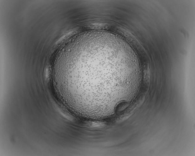 X0000113170165200909181839