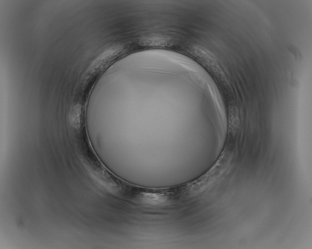 X0000113170167200909181839