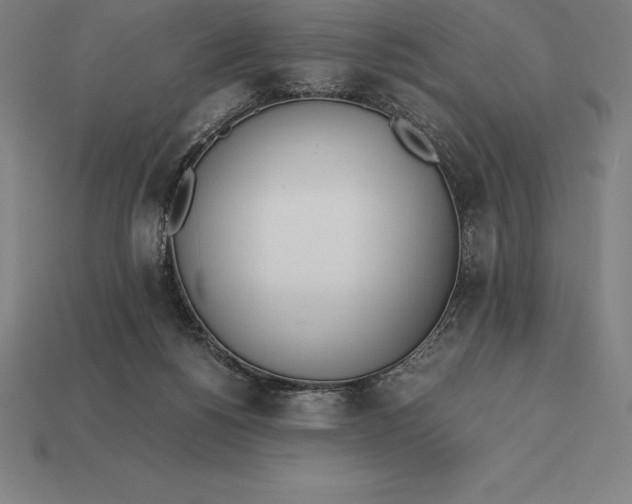 X0000113170168200909181839