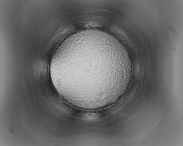 X0000113170169200909181839