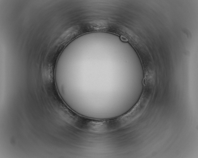 X0000113170170200909181839