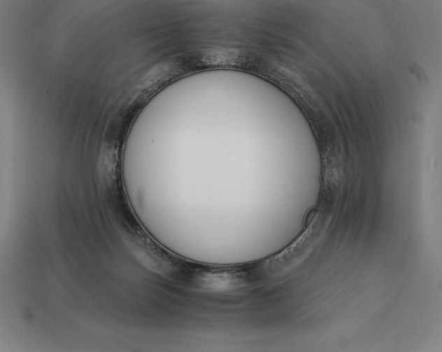 X0000113170171200909181839