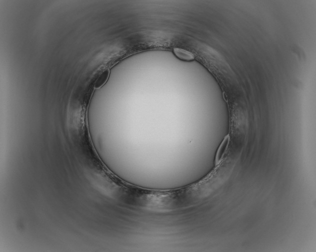 X0000113170172200909181839