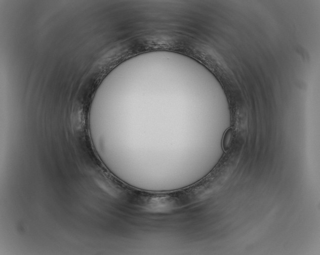 X0000113170173200909181839