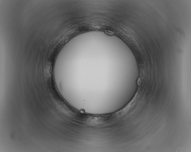 X0000113170174200909181839