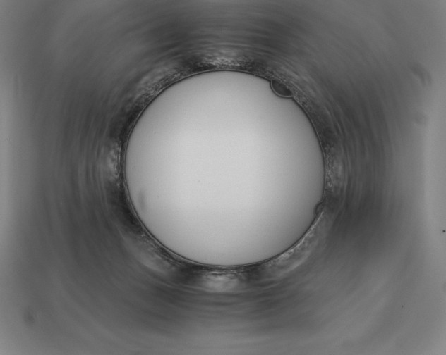 X0000113170175200909181839