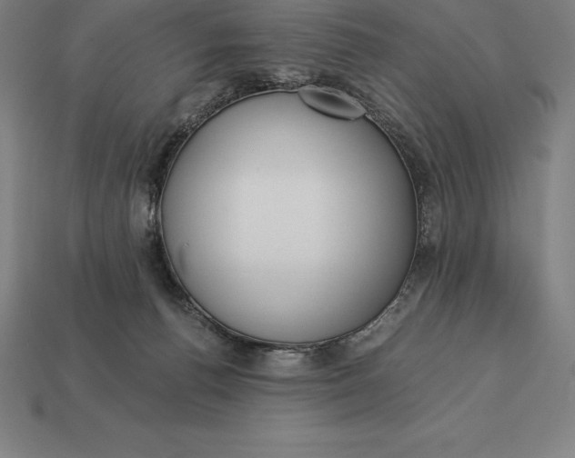 X0000113170176200909181839