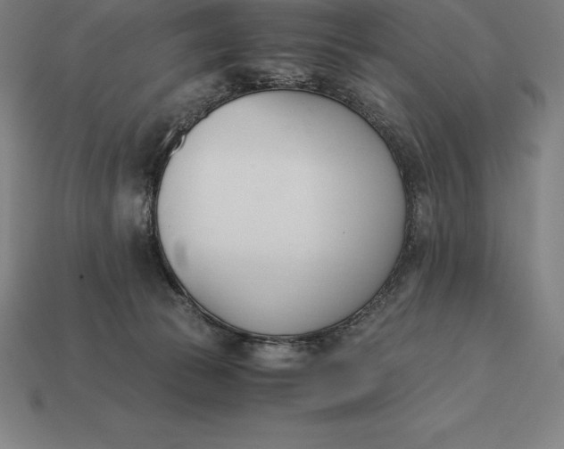 X0000113170177200909181839