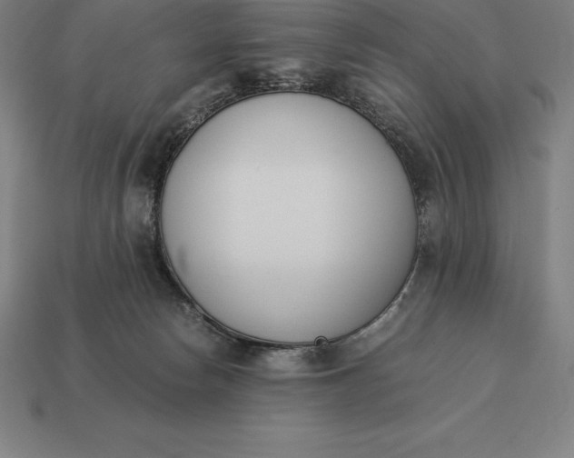 X0000113170178200909181839