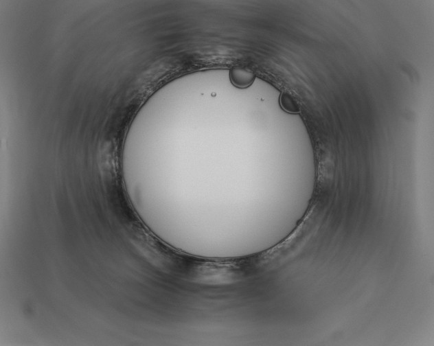 X0000113170179200909181839