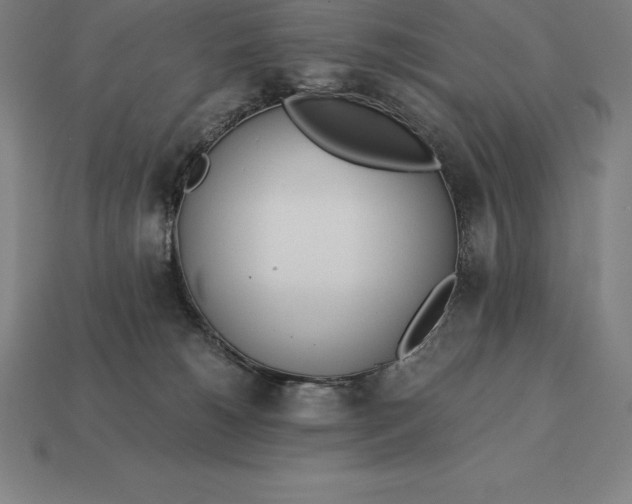 X0000113170180200909181839