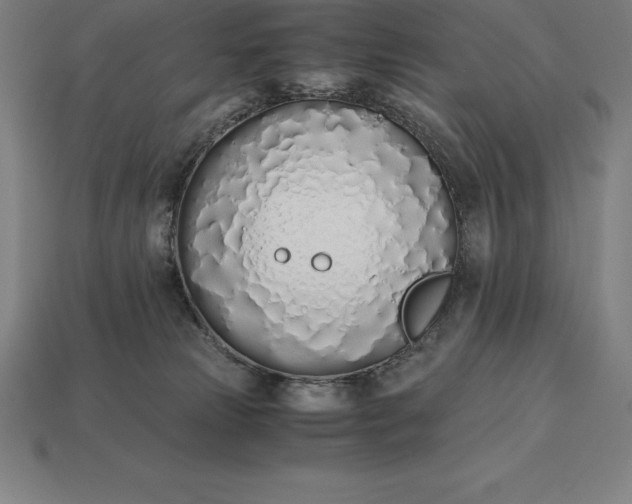 X0000113170181200909181839