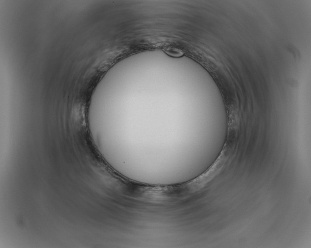 X0000113170182200909181839