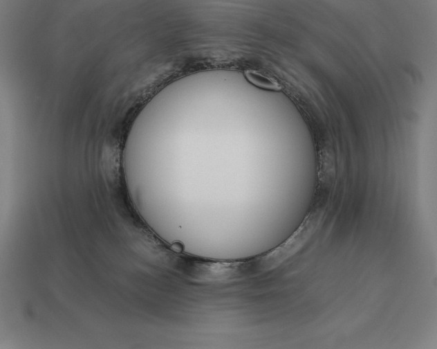 X0000113170184200909181839