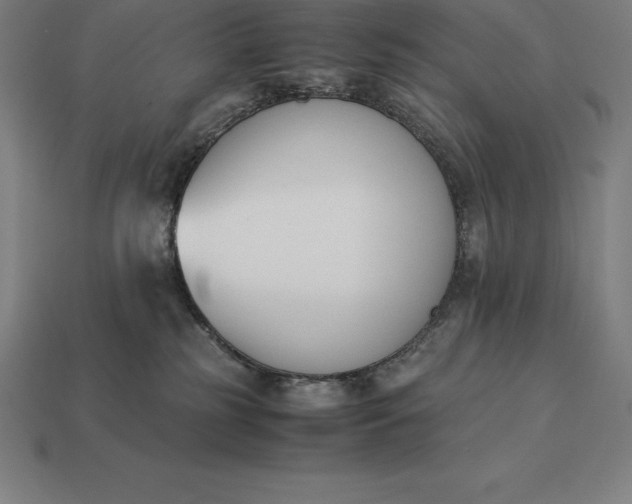 X0000113170185200909181839