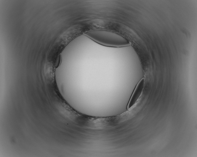 X0000113170186200909181839