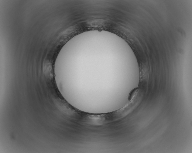 X0000113170187200909181839