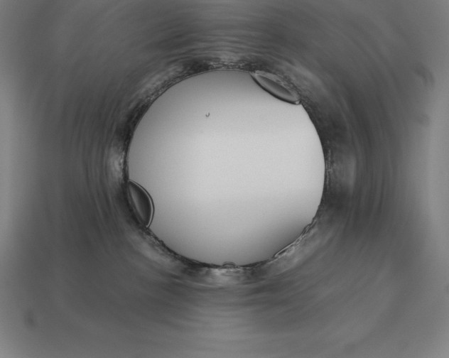 X0000113170188200909181839