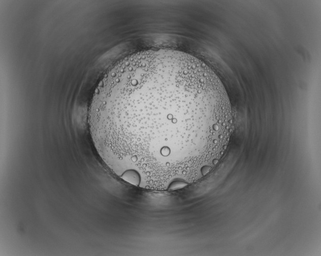 X0000113170189200909181839