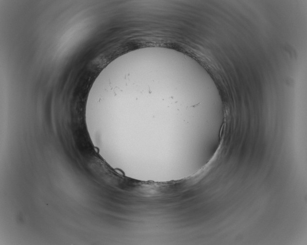 X0000113170190200909181839