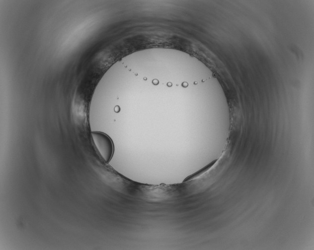 X0000113170191200909181839