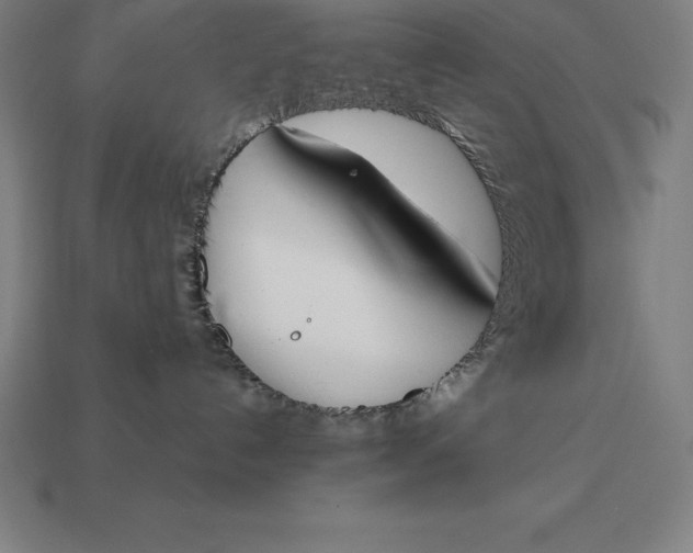 X0000113170192200909181839