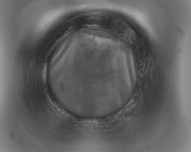 X0000113170194200909181839