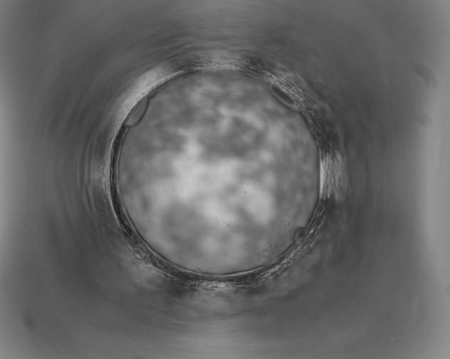 X0000113170195200909181839