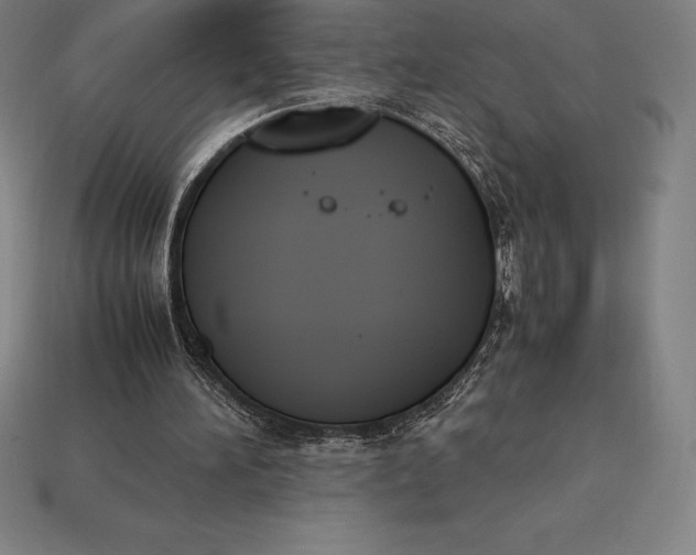 X0000113170196200909181839