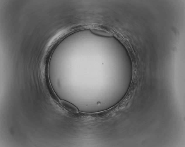 X0000113170197200909181839